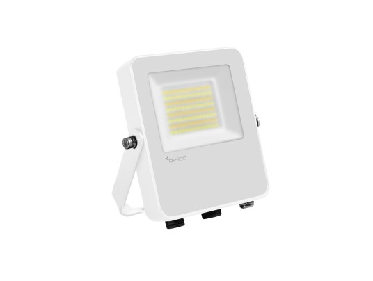 FLEXO 20W-30W-50W-3CCT-1M...